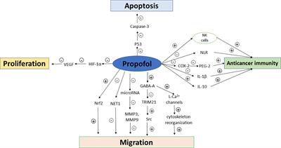 Effects of Propofol Versus Sevoflurane on Postoperative Breast Cancer Prognosis: A Narrative Review